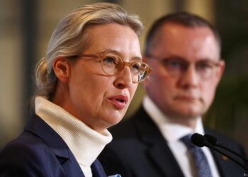 Alman istihbaratı aşırı sağcı AfD’yi resmen “Anayasa Düşmanı” olarak sınıflandırdı