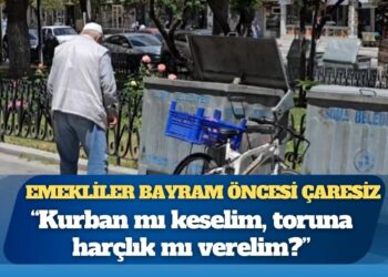 Emekliler bayram öncesi çaresiz: “Kurban mı keselim, toruna harçlık mı verelim? 14 bin lirayla karpuz bile kesemiyoruz”