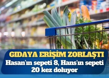 Türkiye’de gıdaya erişim zorlaştı; sepet küçüldü