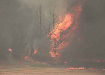 İsrail’de tarihinin en büyük yangını: Filistin yardım teklif etti
