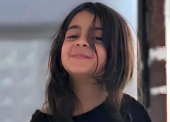 Almanya’dan kritik Narin raporu