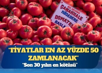 Türkiye’de yaz meyveleri el yakacak: “Yanlış politikalar afeti büyüttü”