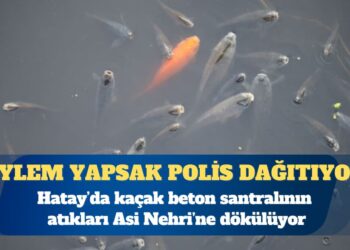 Hatay’da kaçak beton santralının atıkları Asi Nehri’ne dökülüyor