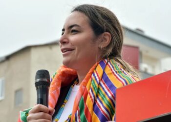 Ayyüce Türkeş: Korumamı ve şoförümü yumrukladılar