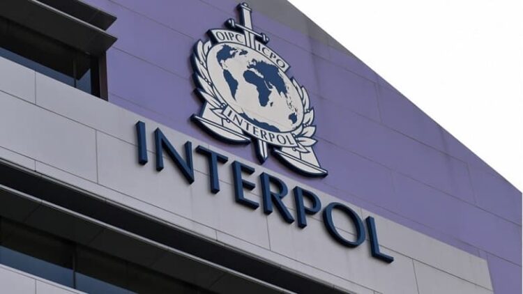 Interpol bülteniyle aranan 23 kişi Türkiye’de çıktı