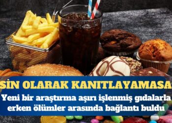 Yeni bir araştırma aşırı işlenmiş gıdalarla erken ölümler arasında bağlantı buldu