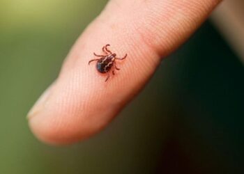 Sivas’ta KKKA şüphesiyle bir haftada üçüncü ölüm