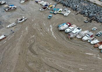 Müsilaj yeniden su yüzüne çıktı