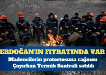 Çayırhan Termik Santrali özelleştirildi