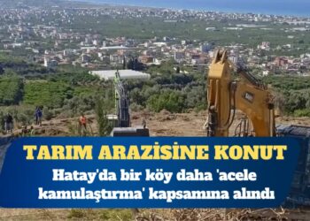 Tarım arazisine konut: Samandağ’da bir köy daha ‘acele kamulaştırma’ kapsamına alındı