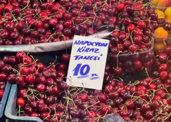 Her şeyi anlatan fotoğraf