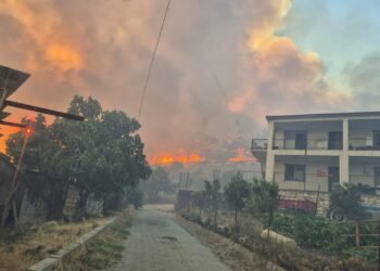 İzmir’de çöplükte başlayıp ormana sıçrayan yangın kontrol altına alındı