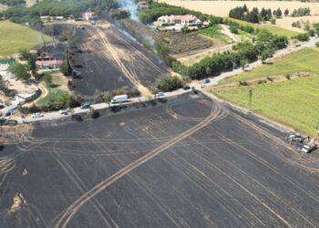 Trakya’da son iki haftada 385 futbol sahası büyüklüğünde ekili alan yandı