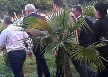 AKP’li vekil rüşvetçi partilisine aracılık mı edecek?