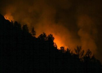Antalya’da iki noktada orman yangını