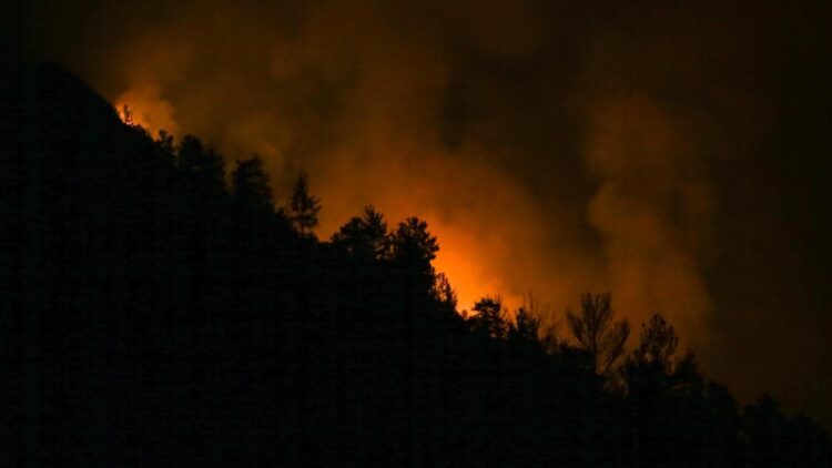 Antalya’da iki noktada orman yangını