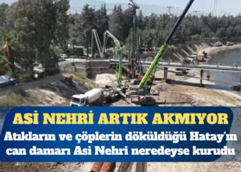 Asi Nehri artık akmıyor