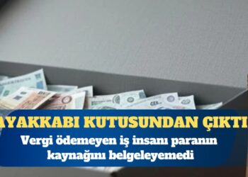 Vergi ödemeyen iş insanının evindeki ayakkabı kutusundan Euro’lar çıktı