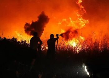 Ormanlar alevlere teslim: Haziran’da 1459 yangın çıktı; 126’sı sigara izmaritinden