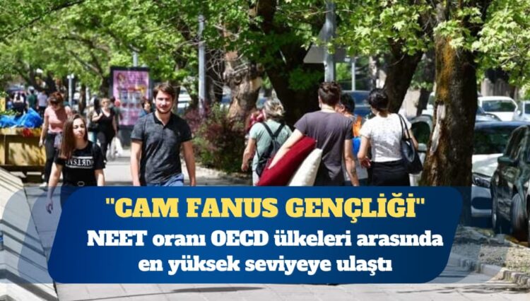 ”Cam fanus gençliği” OECD ülkelerinin zirvesine çıktı