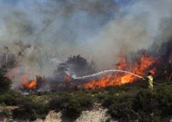 Aliağa’da başlayıp Foça’ya sıçrayan orman yangını kontrole alındı
