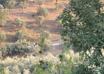 Ekrem İmamoğlu’nun babasına ait arazide yeni arama