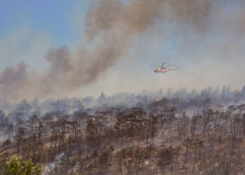İzmir’deki orman yangını yerleşim yerine ulaştı