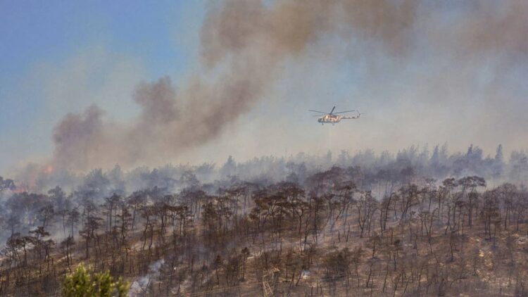 İzmir’deki orman yangını yerleşim yerine ulaştı