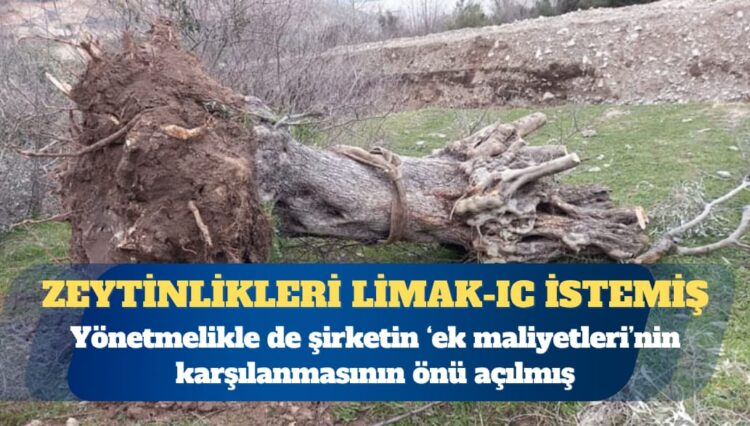 Zeytinlikleri Limak-IC istemiş: Üstüne bir de ek maliyet kıyağı