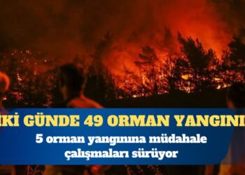 Türkiye’de iki günde 49 orman yangını çıktı