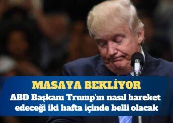ABD Başkanı Donald Trump: İki hafta içinde karar vereceğim