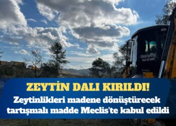 Zeytinlikleri madene dönüştürecek tartışmalı madde Meclis’te kabul edildi