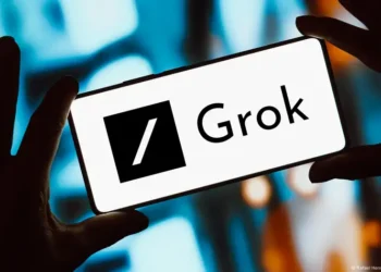 Yaman Akdeniz: Türkiye, Grok’u sansürleyen ilk ülke