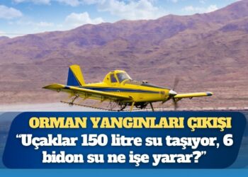 Orman yangınları çıkışı: Aldık dedikleri uçaklar bir ilaçlama uçağının versiyonu, 6 bidon su ne işe yarar?