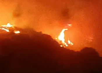 Cehalet ile gelen yangın: ‘Üzerinde kene var’ diye yastığı yakıp bahçeye attı, ormanı yaktı