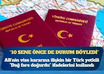 AB’nin vize kararına ilişkin bir Türk yetkili: “Dağ fare doğurdu”