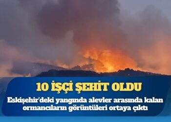 Eskişehir’de orman yangınında 10 işçi şehit oldu