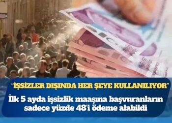 İşsizlik fonu, “işsizler dışında her şeye kullanılıyor”: Başvuranların yüzde 48’i ödeme alabildi