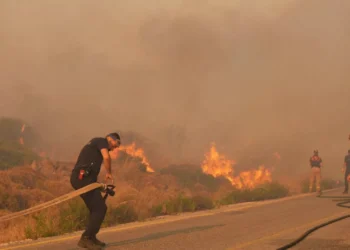 Ödemiş’te orman yangını: 81 yaşındaki bir vatandaş yaşamını yitirdi