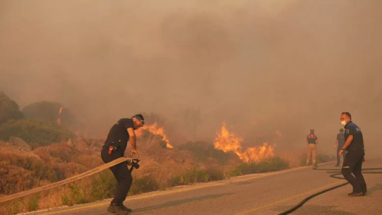 Ödemiş’te orman yangını: 81 yaşındaki bir vatandaş yaşamını yitirdi