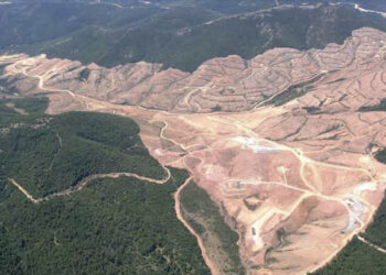 Kaz Dağları’nda bir proje daha; rüzgâr santralı için binlerce ağaç kesilecek