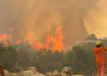Orman işçilerine yanmaz kıyafet ölümlerden sonra verildi
