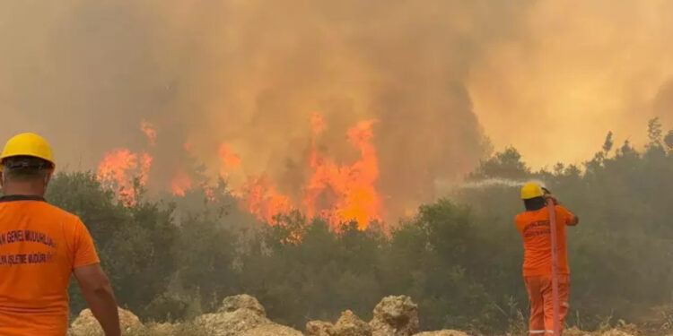 Orman işçilerine yanmaz kıyafet ölümlerden sonra verildi