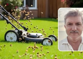 Trajik olay: Alerjisi olan kişi arı saldırısında öldü, eşi kalp krizi geçirdi