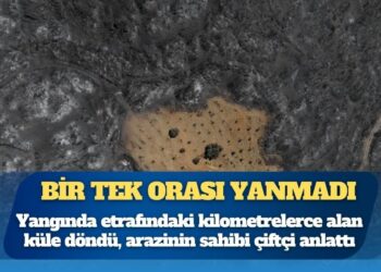 Yangında etrafındaki kilometrelerce alan küle döndü, bir tek orası yanmadı: O arazinin sahibi çiftçi anlattı