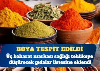 Üç baharat markası sağlığı tehlikeye düşürecek gıdalar listesine eklendi