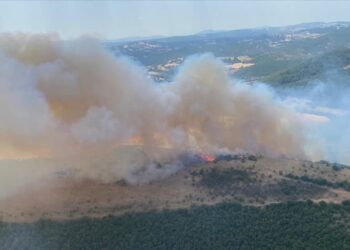 Balıkesir’de orman yangını