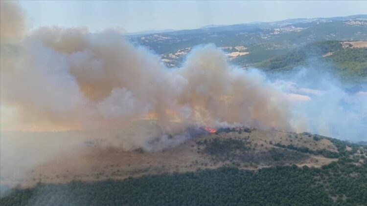 Balıkesir’de orman yangını