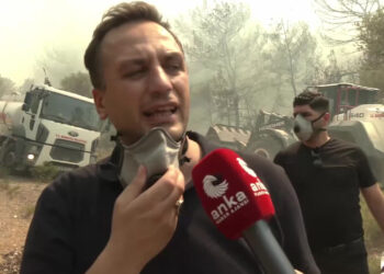 Bornova ve Buca’da orman yangını