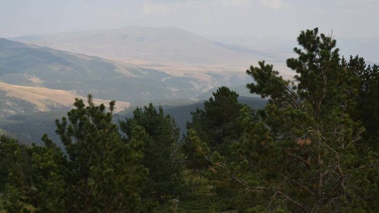 Erzurum’da 30 Ekim’e kadar ormana girmek yasak